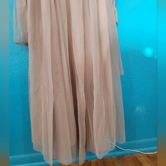 Birdy Grey Christina Taupe Formal Dress - Picture 6 of 16